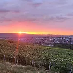 Dans Les Vignes D'epernay, Maison Avec Vue Spectaculaire Épernay