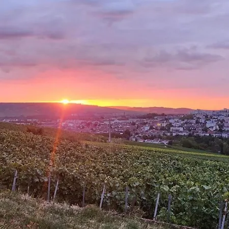 Dans Les Vignes D'epernay, Maison Avec Vue Spectaculaire Épernay