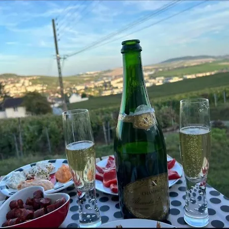 Hébergement de vacances Dans Les Vignes D'epernay, Maison Avec Vue Spectaculaire Épernay