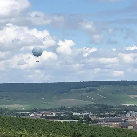 Dans Les Vignes D'epernay, Maison Avec Vue Spectaculaire Hébergement de vacances