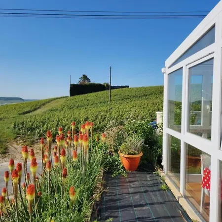Hébergement de vacances Dans Les Vignes D'epernay, Maison Avec Vue Spectaculaire