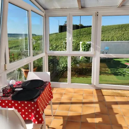 Dans Les Vignes D'epernay, Maison Avec Vue Spectaculaire