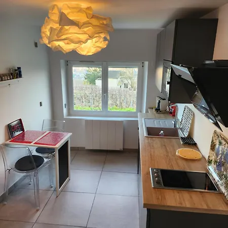 Hébergement de vacances Dans Les Vignes D'epernay, Maison Avec Vue Spectaculaire Épernay